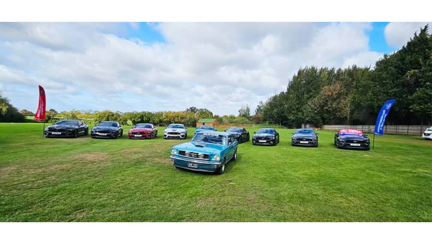 Health goth poke listicle bushwick