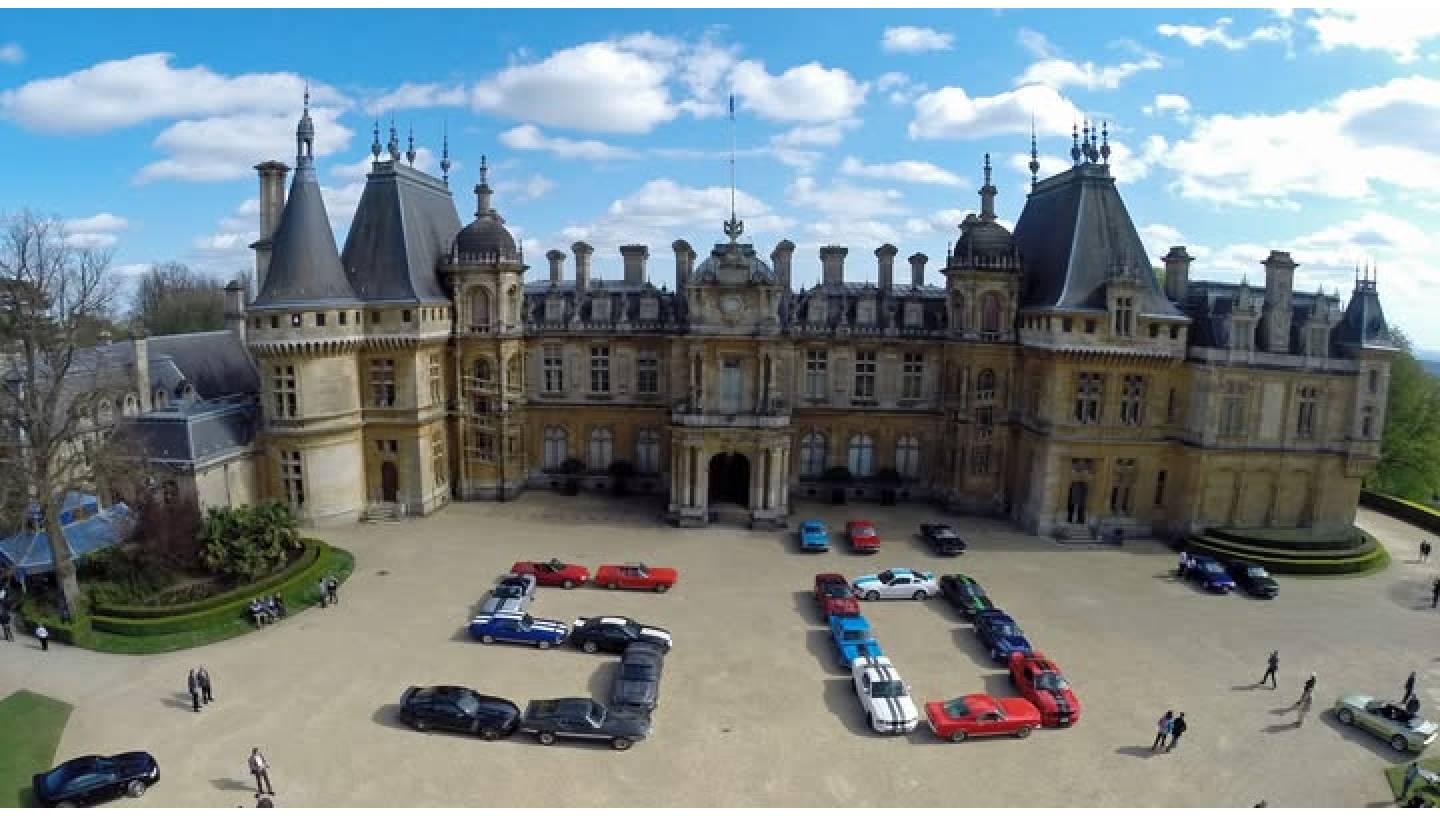 Health goth poke listicle bushwick