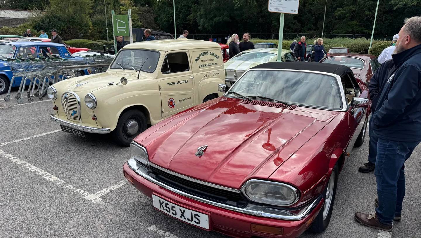 Health goth poke listicle bushwick