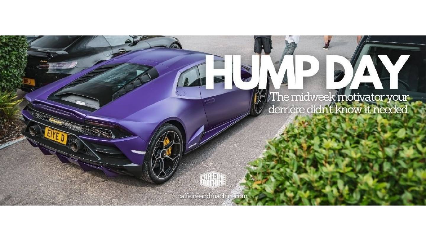 Health goth poke listicle bushwick