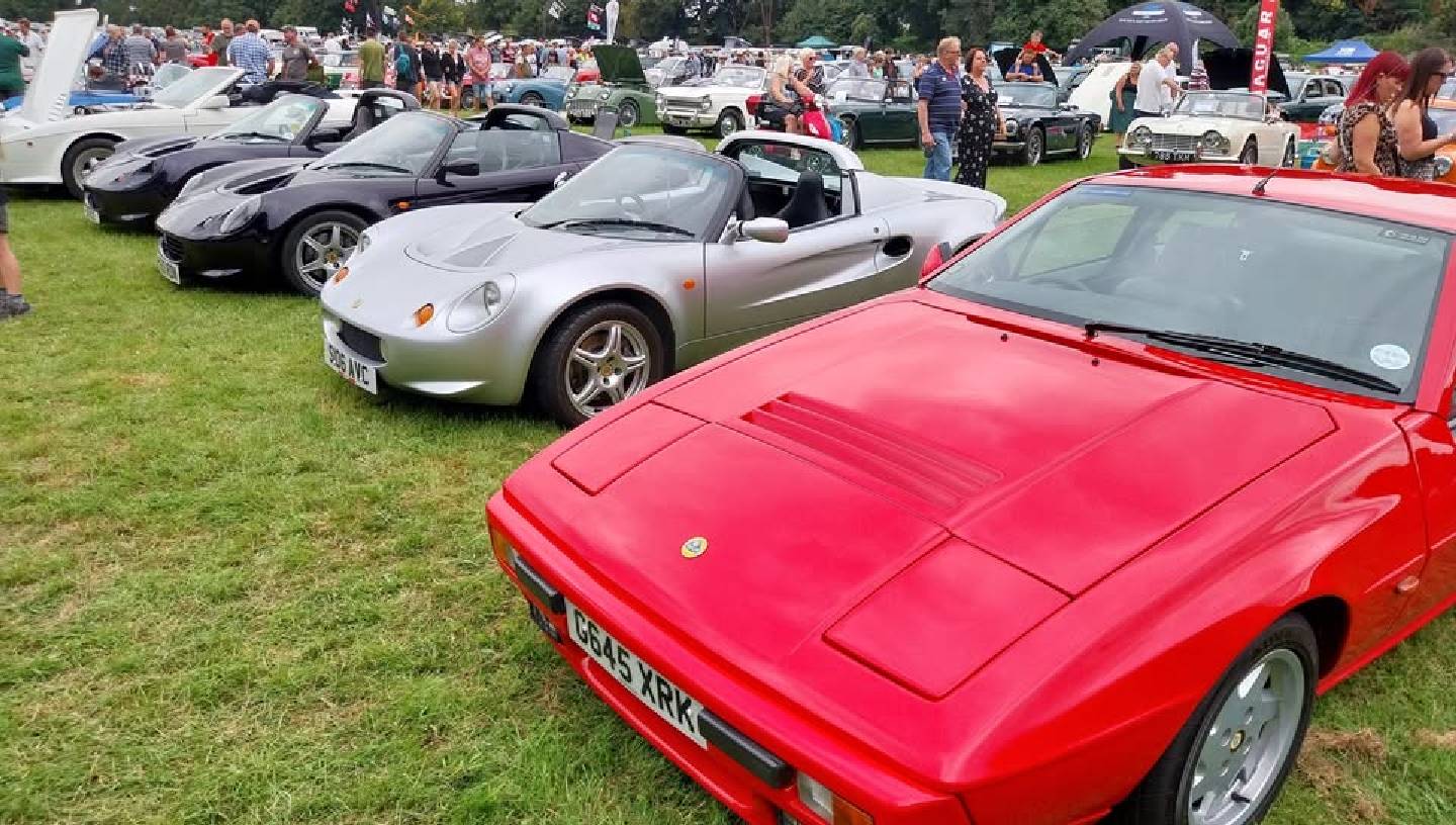 Health goth poke listicle bushwick