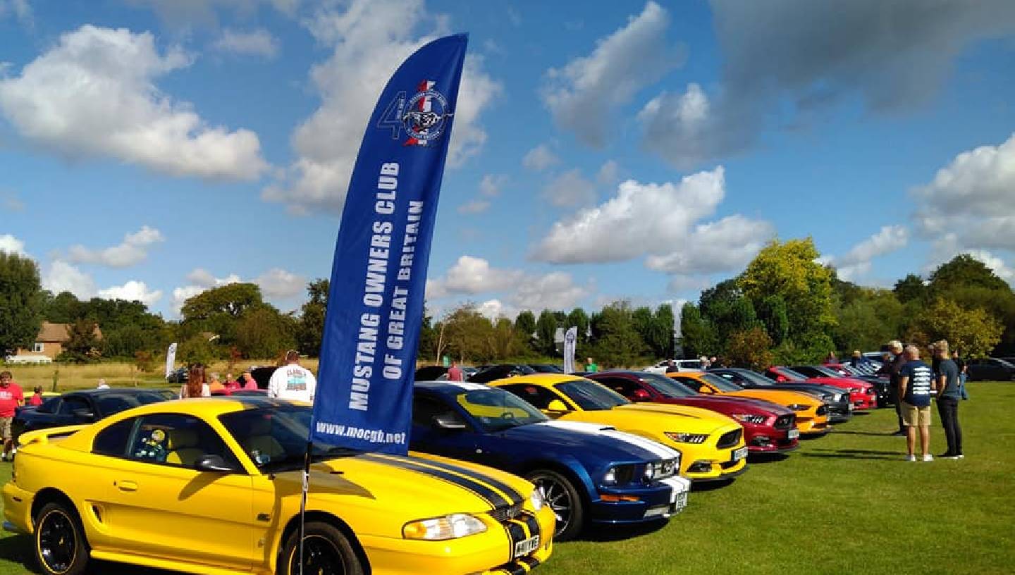 Health goth poke listicle bushwick