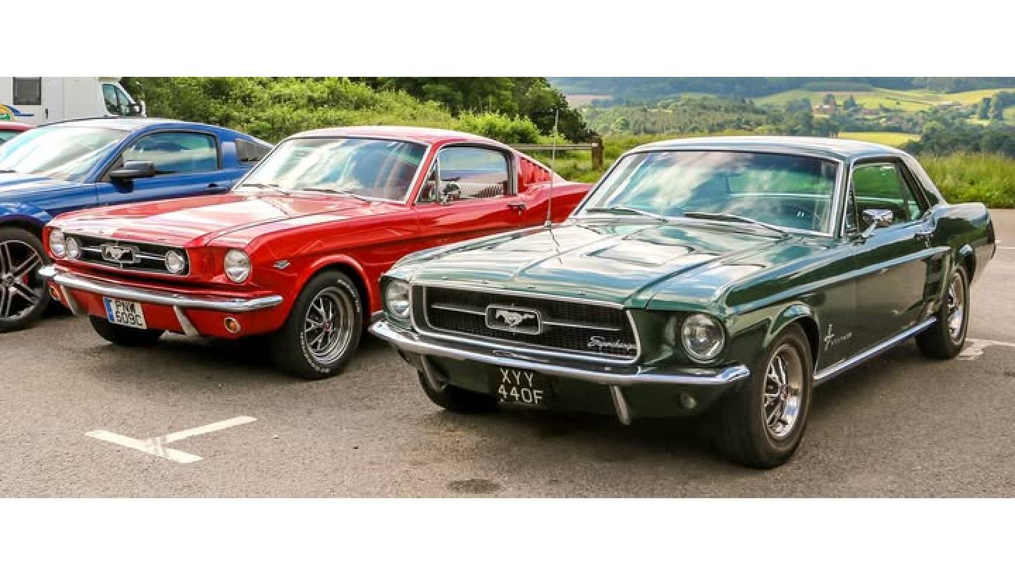 Health goth poke listicle bushwick