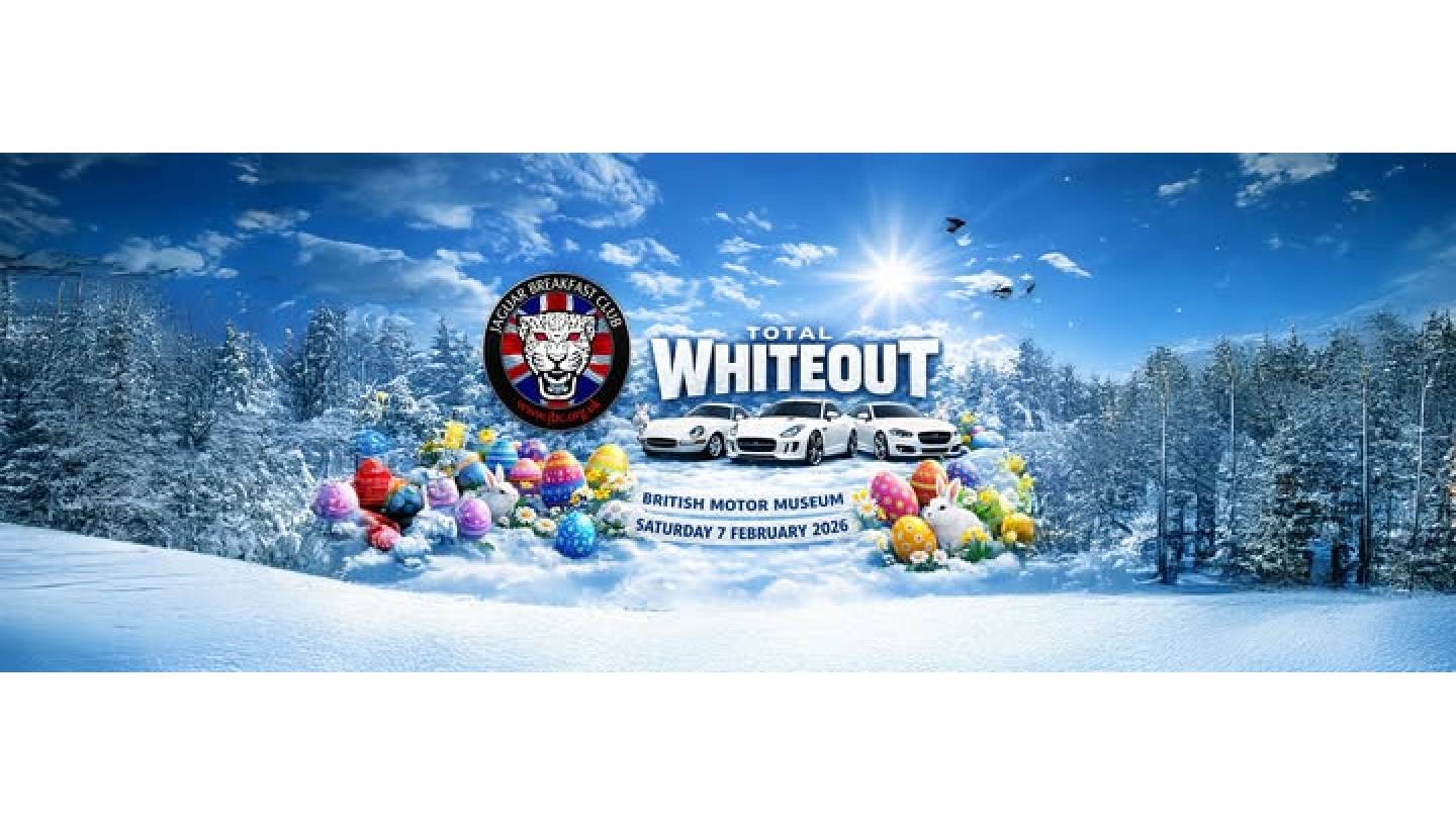 Health goth poke listicle bushwick