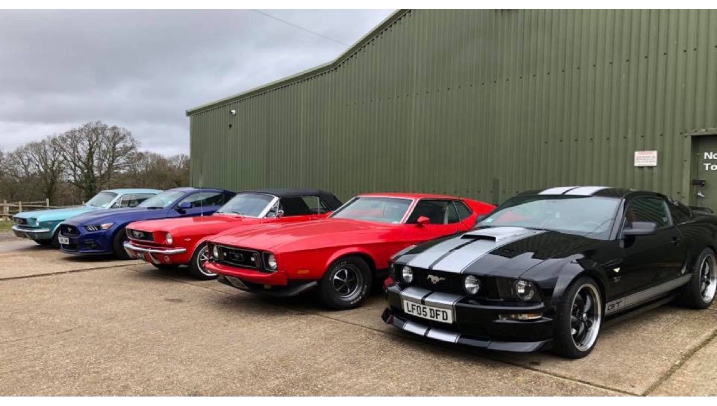 Health goth poke listicle bushwick